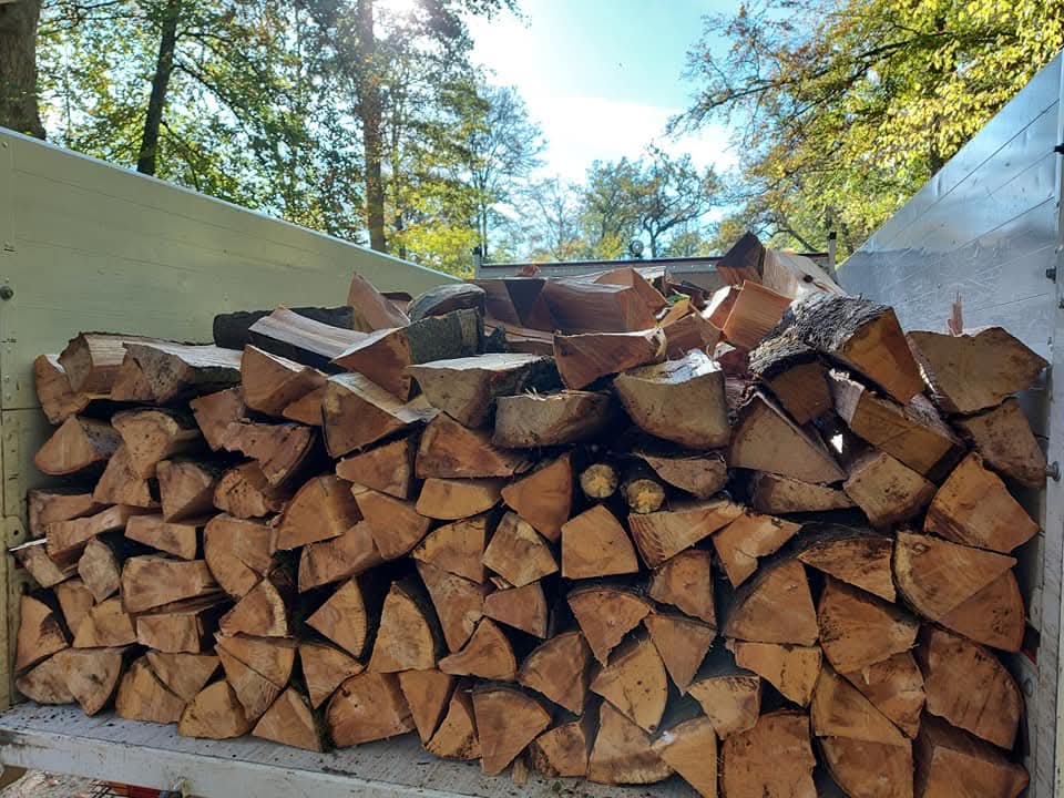  <span class="lte-header lte-h4"> Chêne<br />
<span> Taille : 25 cm, 33 cm, 40 cm et 50 cm </span> </span> 